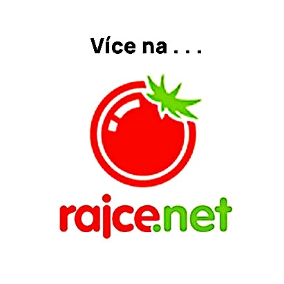 Rajce.net